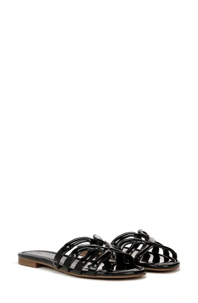 Shop Circus Ny By Sam Edelman Cat Slide Sandal In Black