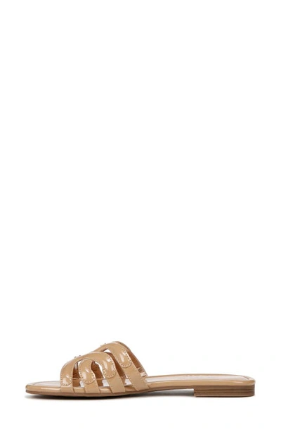 Shop Circus Ny By Sam Edelman Cat Slide Sandal In Almond