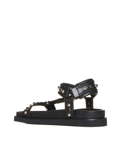 Shop Ash Sandals In Black