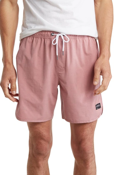Shop Ezekiel Scout Shorts In Rose