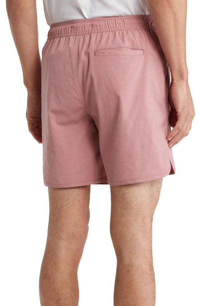 Shop Ezekiel Scout Shorts In Rose