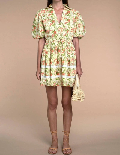 Shop Olivia James The Label Daphne Dress In Bouquet Toss Peach In Multi