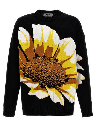 Shop Msgm 'margherita' Sweater In Black