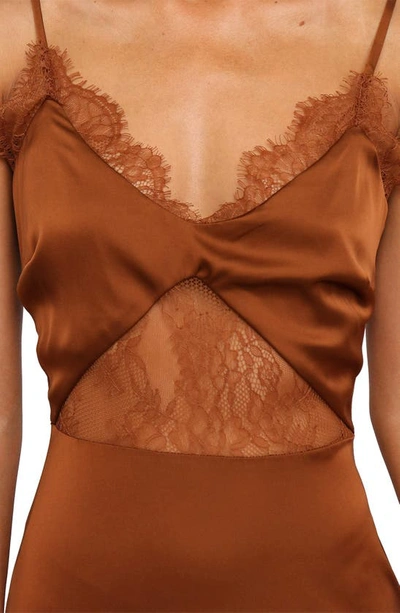Petal And Pup Womens Franque Midi Lace Dress In Rust