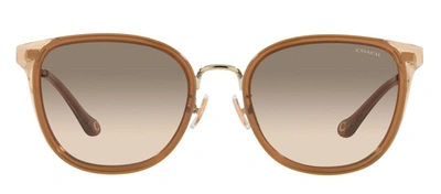 Shop Coach 0hc7135 565413 Round Sunglasses In Brown