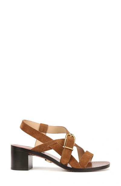 Veronica Beard Etta Strappy Leather Buckle Sandals In Hazelwood