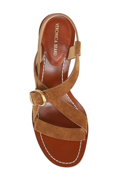 Veronica Beard Etta Strappy Leather Buckle Sandals In Hazelwood