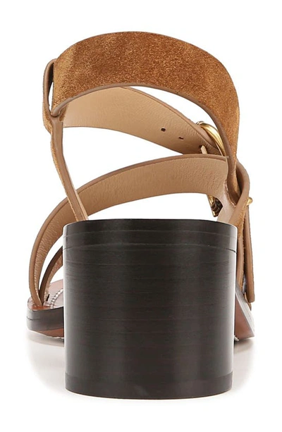 Veronica Beard Etta Strappy Leather Buckle Sandals In Hazelwood