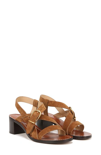 Veronica Beard Etta Strappy Leather Buckle Sandals In Hazelwood