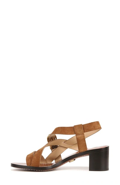 Veronica Beard Etta Strappy Leather Buckle Sandals In Hazelwood