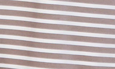 Shop Foxcroft Kelly Stripe Cotton Blend Button-up Shirt In Brown