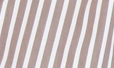 Foxcroft Sandra Stripe Cotton Blend Button-up Shirt In Brown
