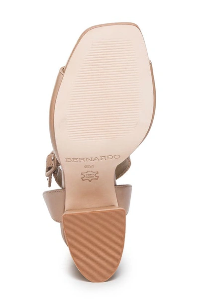 Shop Bernardo Footwear Nyack Ankle Strap Sandal In Birch
