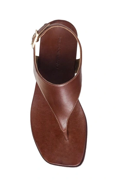 Shop Bernardo Footwear Concord Slingback Sandal In Mahogany
