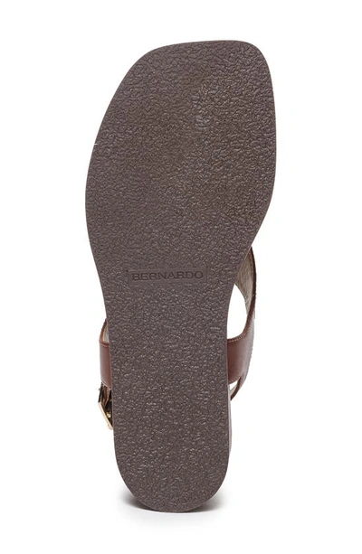 Shop Bernardo Footwear Concord Slingback Sandal In Mahogany