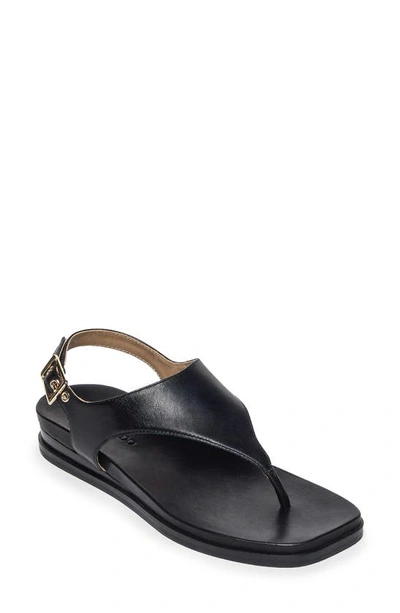 Shop Bernardo Footwear Concord Slingback Sandal In Black