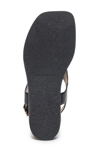 Shop Bernardo Footwear Concord Slingback Sandal In Black