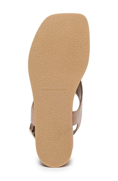 Shop Bernardo Footwear Concord Slingback Sandal In Birch
