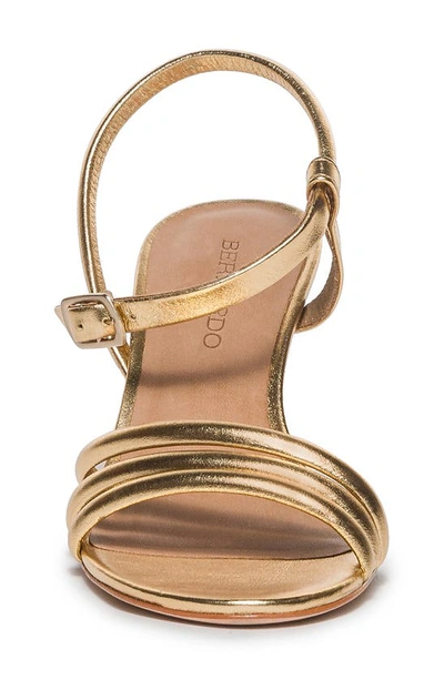 Shop Bernardo Footwear Noor Ankle Strap Sandal In Gold