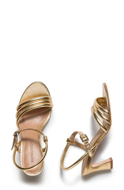 Shop Bernardo Footwear Noor Ankle Strap Sandal In Gold