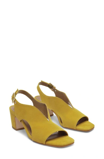 Shop Bernardo Footwear Bedford Slingback Pump In Ochre