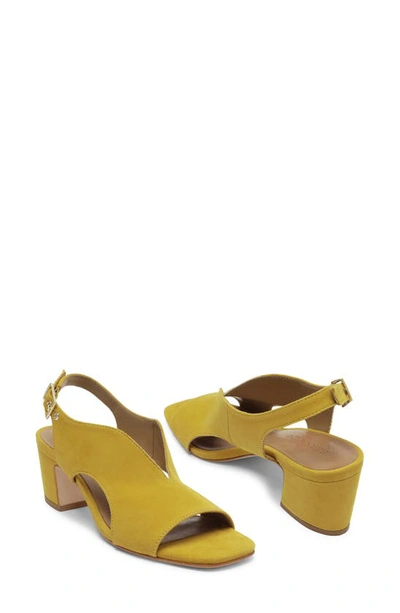 Shop Bernardo Footwear Bedford Slingback Pump In Ochre