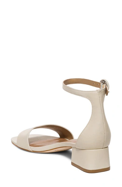 Shop Bernardo Footwear Jalena Ankle Strap Sandal In Eggshell