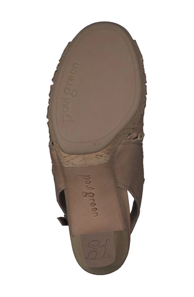 Shop Paul Green Costa Sandal In Alpaca Leather