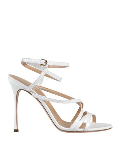 Shop Sergio Rossi Woman Sandals White Size 7 Leather