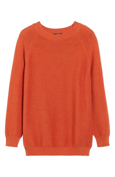Shop Max Mara Linz Cotton Crewneck Sweater In Orange