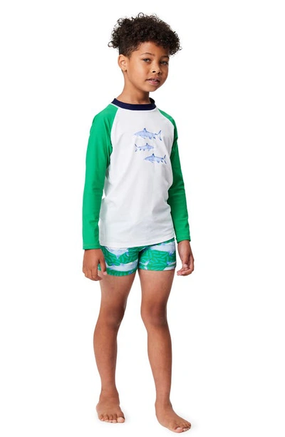 Shop Snapper Rock Reef Shark Two-piece Rashguard Swimsuit In Green