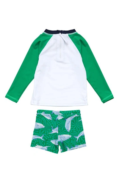 Shop Snapper Rock Reef Shark Two-piece Rashguard Swimsuit In Green