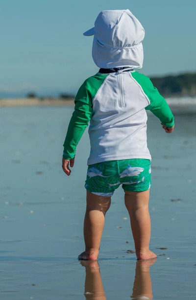 Snapper Rock Reef Shark Two-piece Rashguard Swimsuit In Green