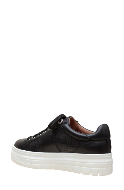 Linea Paolo Jett Platform Sneaker In Black