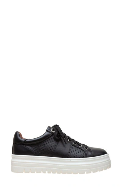 Linea Paolo Jett Platform Sneaker In Black