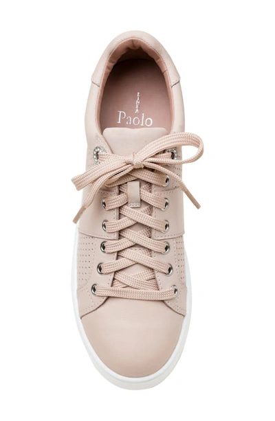 Linea Paolo Jett Platform Sneaker In Blush Pink