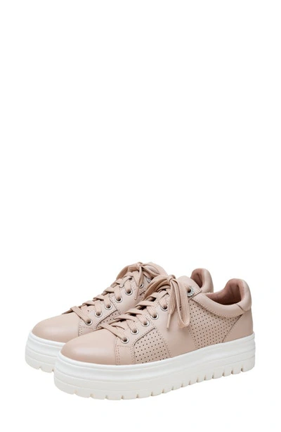 Linea Paolo Jett Platform Sneaker In Blush Pink