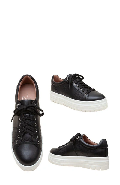 Linea Paolo Jett Platform Sneaker In Black