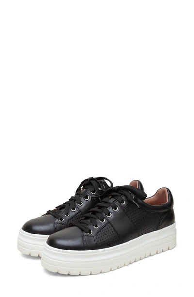 Linea Paolo Jett Platform Sneaker In Black