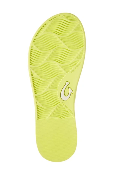 Shop Olukai Aka Flip Flop In Citron / Citron