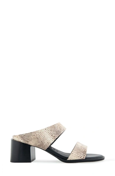 Shop Aerosoles Nika Slide Sandal In Roccia Snake Print Leather