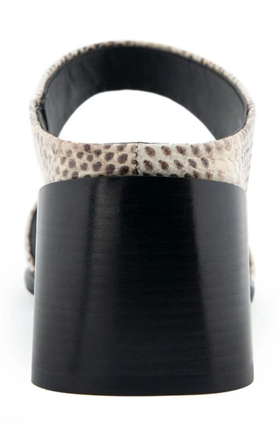 Shop Aerosoles Nika Slide Sandal In Roccia Snake Print Leather