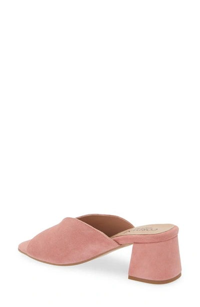 Cordani Pollie Slide Sandal In Rose Suede