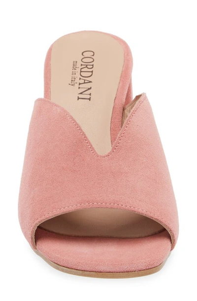 Cordani Pollie Slide Sandal In Rose Suede