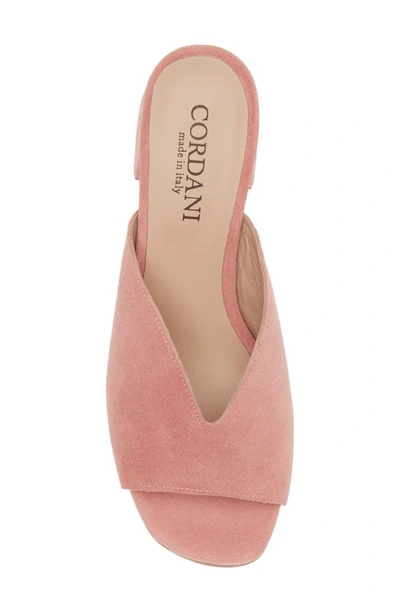 Cordani Pollie Slide Sandal In Rose Suede