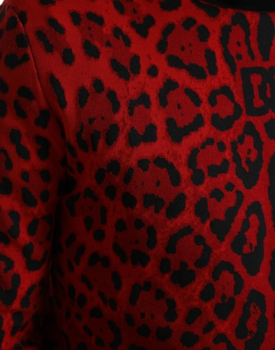 Dolce & Gabbana Red Leopard Print Turtleneck Pullover Sweater In Black And Red