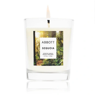Shop Abbott Sequoia Candle