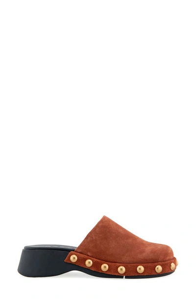 Shop Aerosoles Faye Clog In Ginger Bread Suede