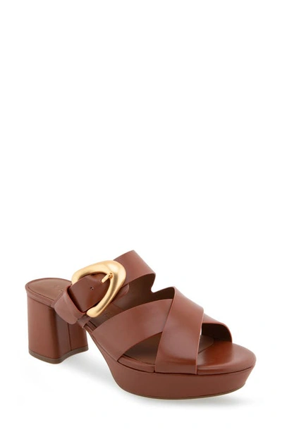 Shop Aerosoles Collin Platform Sandal In Ginger Bread Leather