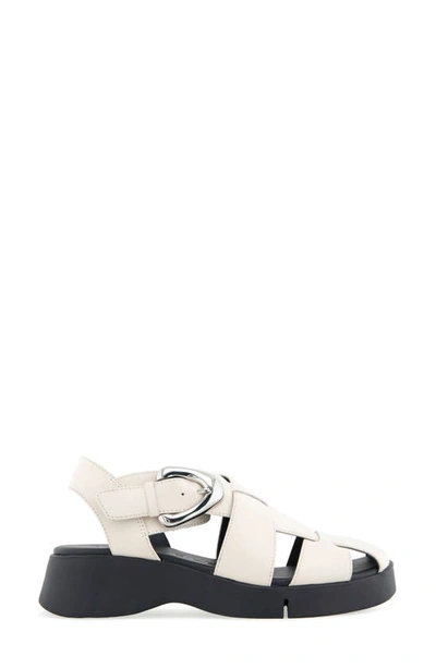 Shop Aerosoles Fabian Sandal In Eggnog Leather